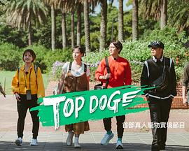 911爆料工厂《TOP DOG》免费在线观看
