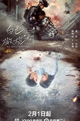 911爆料网《白色橄榄树》免费在线观看