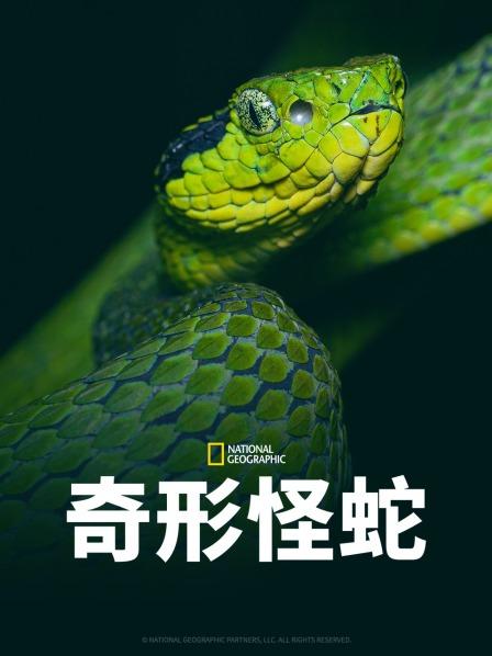 911爆料网《奇形怪蛇》免费在线观看